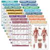 17 Pack - Exercise Poster Set: Dumbbell, Suspension, Kettlebell, Muscular, Medicine Ball, Battle Rope, Resistance Bands, Stretching, Bodyweight, Barbell, Yoga and More (LAMINATED, 18" x 24") view 1