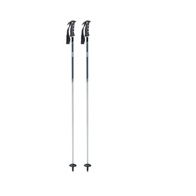 Swix Excalibur Light DD4 Adult Composite Ski Poles (100 cm)