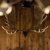 Rack Hub RH2 XL Antler Mounting Kit view 3