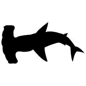 Hammerhead Shark - Pack of 4 - StickerVinyl Waterproof Sticker Decal Car Laptop Wall Window Bumper Sticker