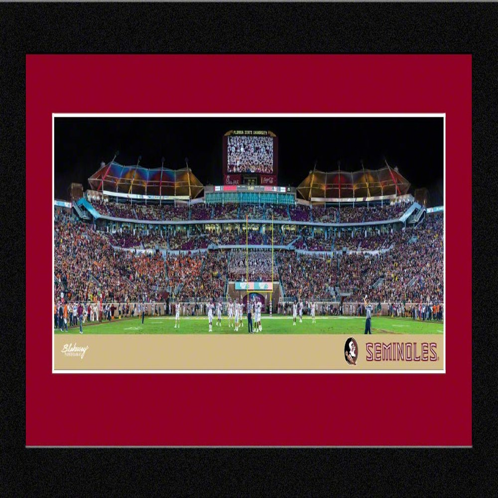 Florida State Football - 16.625 x 8.125-inch Framed Picture