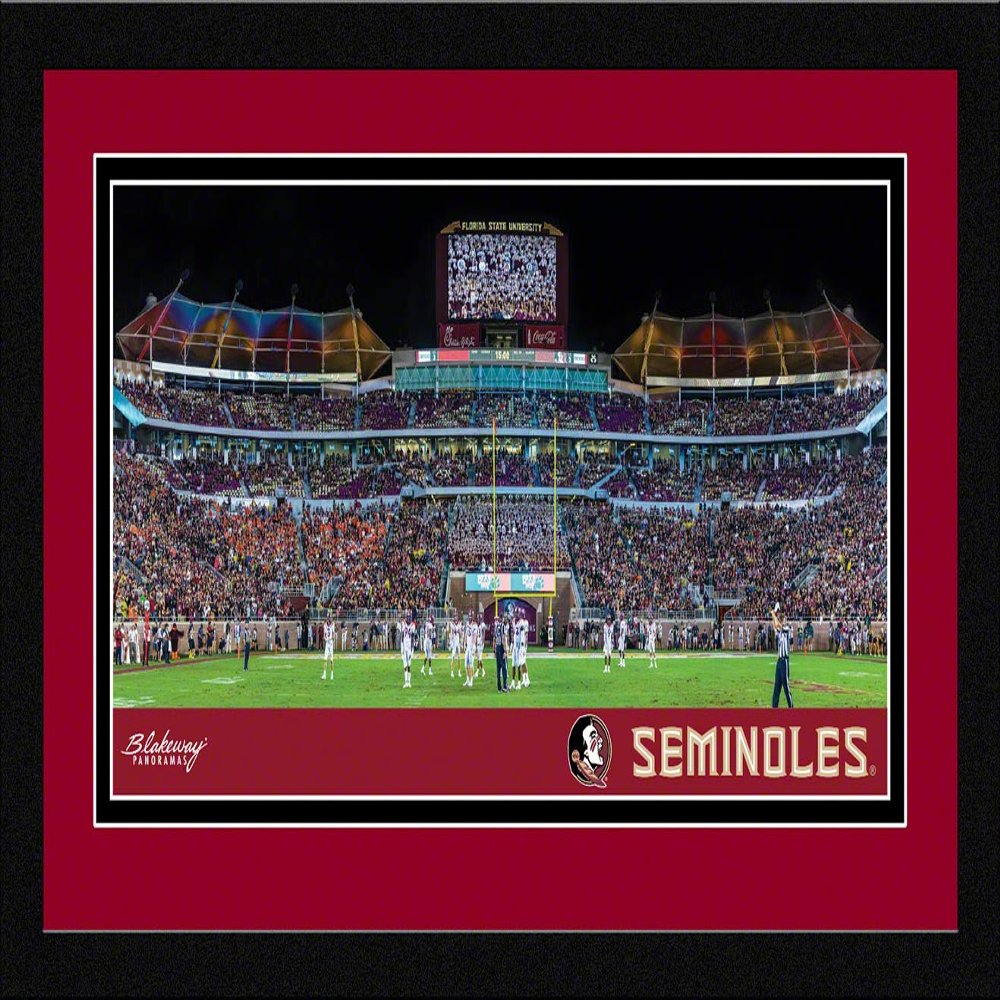 Florida State Football - 20.375 x 12.375-inch Framed Picture with Mat