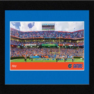 Florida Gators Football - 16.625 x 8.125-inch Framed Picture