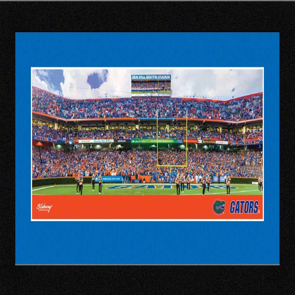 Florida Gators Football - 16.625 x 8.125-inch Framed Picture