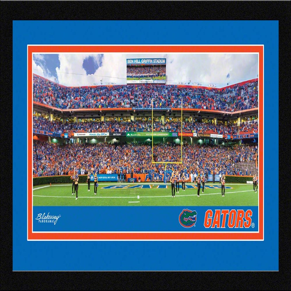 Florida Gators Football - 20.375 x 12.375-inch Framed Picture with Mat