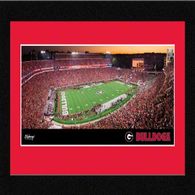 Georgia Football - 16.625 x 8.125-inch Framed Picture