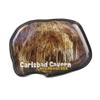 Collectible Novelty Pin for Backpack, Scarf - Made From Jeweler Class Metal - Spartan and the Green Egg Explorer Pin Series: Carlsbad Cavern, New Mexico, USA (315) view 1