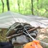 onewind One Piece Tarp Sleeve 12ft, Camping Rain Fly Snakeskin for Tarp Easy Storage and Display, Lightweight and Breathable for Outdoor Camping, Hiking and Backpacking, OD Green view 3