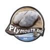 Collectible Novelty Pin for Backpack, Scarf - Made From Jeweler Class Metal - Spartan and the Green Egg Explorer Pin Series: Plymouth Rock - Massachusetts, USA (490) view 1