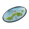 Collectible Novelty Pin for Backpack, Scarf - Made From Jeweler Class Metal - Spartan and the Green Egg Explorer Pin Series: Kadavu, Fiji (516) view 1