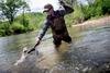 Frabill Floating Trout Net 11"x 15" Hoop Size,Black view 3