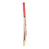 CW Millennium Cricket Bat for Men's Kashmir Willow Cricket Bat Full Size, Lightweight & Strong - Ideal Training Club Cricket Bat with Carry Case view 4