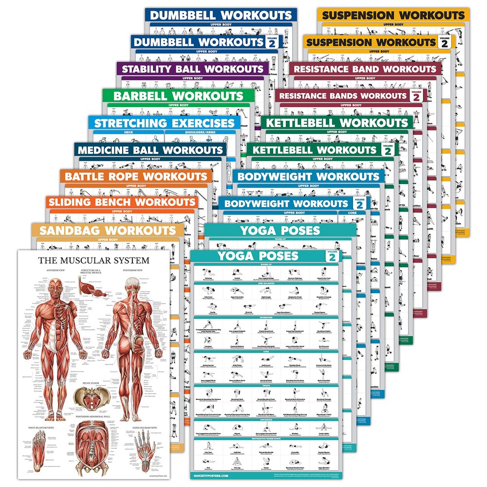 20 Pack - Exercise Workout Poster Set, Dumbbell, Suspension, Battle Rope, Stretching, Bodyweight, Barbell, Yoga, Exercise Ball, Kettlebell, Resistance Bands and More (PAPER - NOT LAMINATED, 18" x 24")