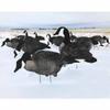 White Rock Printed Canada Goose Silhouette Decoys - 1 Dozen view 2