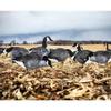 White Rock Printed Canada Goose Silhouette Decoys - 1 Dozen view 3