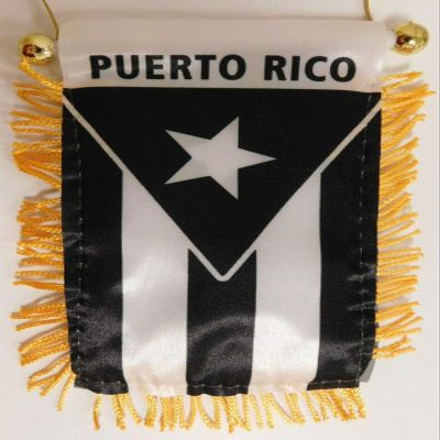 American Wholesale Superstore Lot of 12 Puerto Rico Black and White Protest 4"x6" Mini Window Banner Flag
