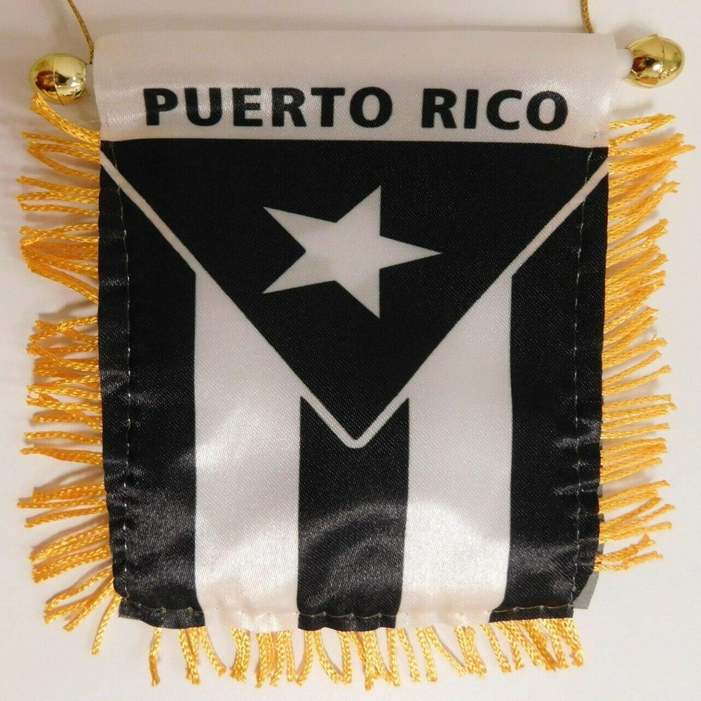 American Wholesale Superstore Lot of 12 Puerto Rico Black and White Protest 4"x6" Mini Window Banner Flag