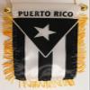 American Wholesale Superstore Lot of 12 Puerto Rico Black and White Protest 4"x6" Mini Window Banner Flag view 1
