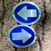Wild Drifter Trail Markers - Bright Reflective Trail Marker Pack of 24, Easy to Mount, Mark Your Trees for Hunting, Hiking, Camping, and More. (Blue, 24) view 2