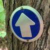 Wild Drifter Trail Markers - Bright Reflective Trail Marker Pack of 24, Easy to Mount, Mark Your Trees for Hunting, Hiking, Camping, and More. (Blue, 24) view 4