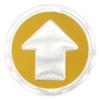 Wild Drifter Trail Markers - Bright Reflective Trail Marker Pack of 24, Easy to Mount, Mark Your Trees for Hunting, Hiking, Camping, and More. (Yellow, 24) view 1