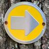 Wild Drifter Trail Markers - Bright Reflective Trail Marker Pack of 24, Easy to Mount, Mark Your Trees for Hunting, Hiking, Camping, and More. (Yellow, 24) view 4