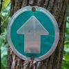 Wild Drifter Trail Markers - Bright Reflective Trail Marker Pack of 24, Easy to Mount, Mark Your Trees for Hunting, Hiking, Camping, and More. (Green, 24) view 3