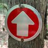 Wild Drifter Trail Markers - Bright Reflective Trail Marker Pack of 24, Easy to Mount, Mark Your Trees for Hunting, Hiking, Camping, and More. (Red, 24) view 2
