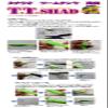 Bait Breath Tea Shad 2.8" #S354 Super Glow view 4
