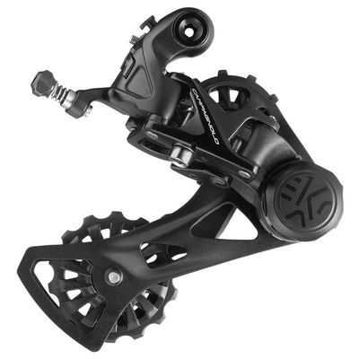 Campagnolo Ekar 13 Speed Rear Derailleur, One Size, Black