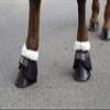 Covalliero KE-HA-322216 Horse Protector, Teddy Fleece Bell Boots, Left & Right Set, Black, Cob Size view 1