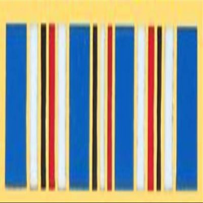 AMERICAN CAMPAIGN Ribbon LAPEL PIN OR HAT PIN - Size Approx 11/16" - VETERAN OWNED BUSINESS