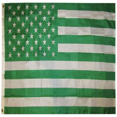 American Wholesale Superstore 3x5 USA 50 Star Jets Green & White 3'x5' Premium Quality Flag