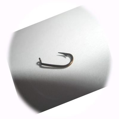 100 PCs #16 Dry Fly Tying Hooks Kendal Round TD Tapered Eye OUTPOINTED Fishing Equipment and More for Successful Fishing by Kolotivichtol
