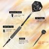 CyeeLife 16g Soft tip Darts with Extra Flights and Plastic Points For Beginners view 2