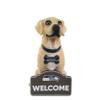 FOCO NFL Seattle Seahawks Yellow Labrador Statue view 1
