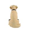 FOCO NFL Seattle Seahawks Yellow Labrador Statue view 3