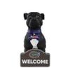 FOCO Florida Gators NCAA American Staffordshire Terrier Statue view 1