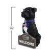 FOCO Florida Gators NCAA American Staffordshire Terrier Statue view 2