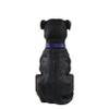 FOCO Florida Gators NCAA American Staffordshire Terrier Statue view 3
