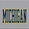 J2 Sport University of Michigan Wolverines NCAA Basic Unisex Crewneck Fleece view 2
