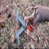 DropTine Products Carcass Buddy view 3