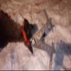 DropTine Products Carcass Buddy view 4