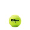 WILSON Championship Tennis Balls - Extra Duty, 24 Can Case (72 Balls) view 3
