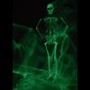 AltSkin Adult/Kids Full Body Stretch Fabric Zentai Suit - Glow in the Dark Skeleton - Glowing Skeleton Costume for Halloween (Medium) view 2