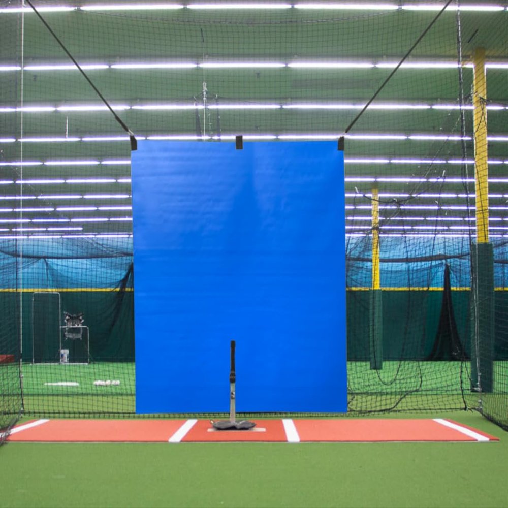 5' x 8' Vinyl Heavy Duty Baseball Batting Cage Backstop - GBCC (Blue)