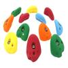 Atomik Rock Climbing Holds Set of 12 Medium Bolt-On Golfus Jugs in Assorted Bright Tones view 2