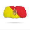 Impact Custom Professional All Sports Mouthguard -Flag Series Sicily view 1