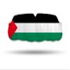 Impact Custom Professional MMA/Boxing/Muay Thai Mouthguard -Flag Series Palestine view 1