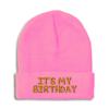 Beanies for Men It's My Birthday Gold Embroidery Skull Cap Winter Hats for Women Acrylic One Size Soft Pink Design Only view 1